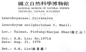 * 白髮蘚屬-標本(標籤)~B00004161* 作者：Chun-hsiu Peng拍攝,彭春琇拍攝* 智財權：國立自然科學博物館