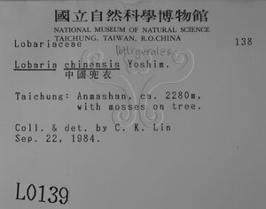 * 標本（標籤）~L00000139* 作者：Yu-te Chiu拍攝,邱昱淂拍攝* 智財權：國立自然科學博物館