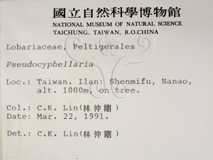 * 假杯點衣屬-標本（標籤）~L00000422* 作者：C.W.Huang拍攝,黃嘉偉拍攝* 智財權：國立自然科學博物館