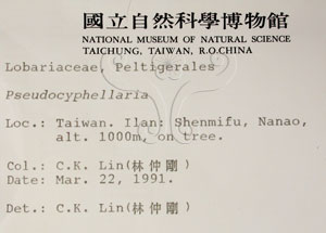 * 假杯點衣屬-標本（標籤）~L00000424* 作者：C.W.Huang拍攝,黃嘉偉拍攝* 智財權：國立自然科學博物館