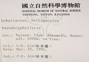 * 假杯點衣屬-標本（標籤）~L00000435* 作者：C.W.Huang拍攝,黃嘉偉拍攝* 智財權：國立自然科學博物館