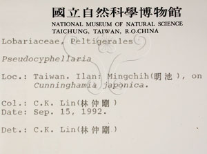 * 假杯點衣屬-標本（標籤）~L00000583* 作者：C.W.Huang拍攝,黃嘉偉拍攝* 智財權：國立自然科學博物館