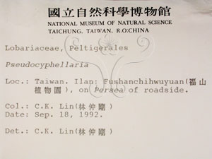 * 假杯點衣屬-標本（標籤）~L00000602* 作者：C.W.Huang拍攝,黃嘉偉拍攝* 智財權：國立自然科學博物館