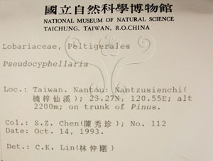 * 假杯點衣屬-標本（標籤）~L00000782* 作者：C.W.Huang拍攝,黃嘉偉拍攝* 智財權：國立自然科學博物館