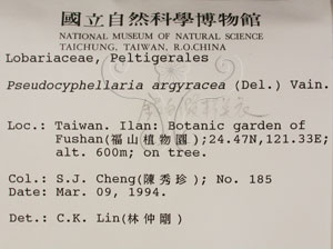 * 假杯點衣屬-標本（標籤）~L00000926* 作者：C.W.Huang拍攝,黃嘉偉拍攝* 智財權：國立自然科學博物館