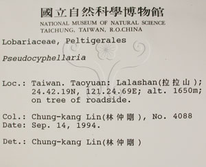 * 假杯點衣屬-標本（標籤）~L00001020* 作者：C.W.Huang拍攝,黃嘉偉拍攝* 智財權：國立自然科學博物館
