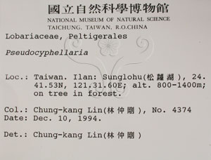 * 假杯點衣屬-標本（標籤）~L00001160* 作者：C.W.Huang拍攝,黃嘉偉拍攝* 智財權：國立自然科學博物館