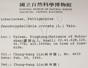 * 假杯點衣屬-標本（標籤）~L00001189* 作者：C.W.Huang拍攝,黃嘉偉拍攝* 智財權：國立自然科學博物館