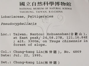 * 假杯點衣屬-標本（標籤）~L00001358* 作者：C.W.Huang拍攝,黃嘉偉拍攝* 智財權：國立自然科學博物館