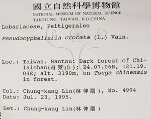 * 假杯點衣屬-標本（標籤）~L00001376* 作者：C.W.Huang拍攝,黃嘉偉拍攝* 智財權：國立自然科學博物館