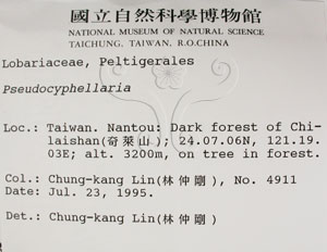 * 假杯點衣屬-標本（標籤）~L00001384* 作者：C.W.Huang拍攝,黃嘉偉拍攝* 智財權：國立自然科學博物館