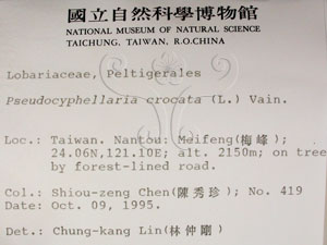 * 假杯點衣屬-標本（標籤）~L00001503* 作者：C.W.Huang拍攝,黃嘉偉拍攝* 智財權：國立自然科學博物館