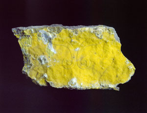 * 釩鈣鈾礦 Tyuyamunite