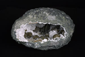 * 片水矽鈣石 Gyroilite