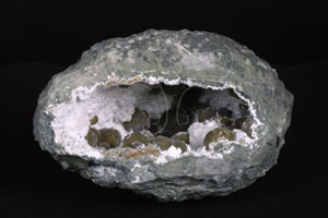 * 片水矽鈣石* 智財權：國立自然科學博物館