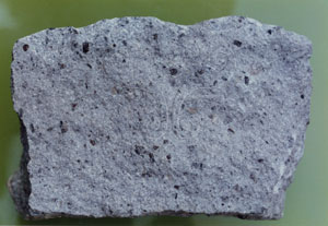* 圖說：安山岩andesite* 智財權：國立自然科學博物館