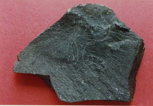 * 圖說：玄武岩basalt* 智財權：國立自然科學博物館