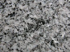 * 圖說：黑雲母花崗岩biotite granite* 智財權：國立自然科學博物館