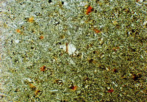 * 圖說：玄武岩之顯微鏡照片* 智財權：國立自然科學博物館