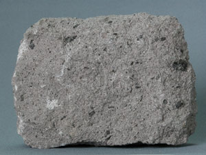 * 角閃安山岩標本照片* 智財權：國立自然科學博物館