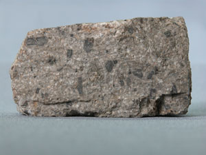 * 角閃安山岩標本照片* 智財權：國立自然科學博物館