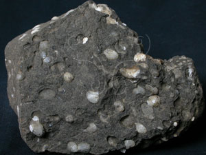 * 矽質玄武岩標本照片* 智財權：國立自然科學博物館