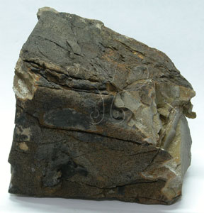* 煌斑岩標本照片* 智財權：國立自然科學博物館