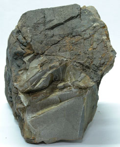 * 煌斑岩標本照片* 智財權：國立自然科學博物館