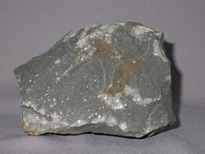 * 基性岩脈標本照片* 智財權：國立自然科學博物館