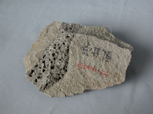 * 圖說：玄武岩標本圖* 智財權：國立自然科學博物館