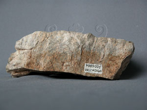* 圖說：石英斑岩標本圖* 智財權：國立自然科學博物館