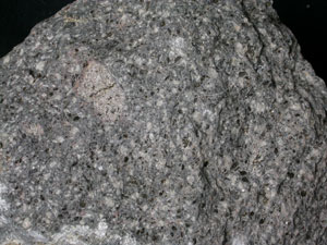 * 圖說：黑雲母角閃安山岩Biotite-hb andesite* 智財權：國立自然科學博物館