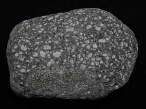 * 圖說：斑狀安山岩(玢岩)Porphyritic andesite(Porphyrite)* 智財權：國立自然科學博物館