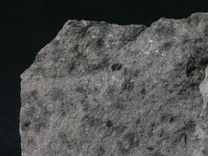 * 圖說：碎屑角礫岩Pyroclastic conglomerate* 智財權：國立自然科學博物館