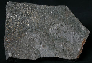 * 安山岩標本照片* 智財權：國立自然科學博物館