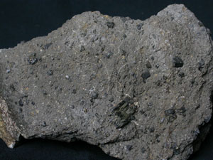 * 圖說：輝石安山岩Pyroxene Andesite* 智財權：國立自然科學博物館