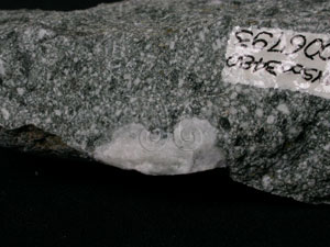 * 換質角閃石安山岩標本照片* 智財權：國立自然科學博物館