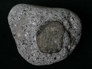 * 圖說：黑雲母角閃(石)安山岩Biotite hornblende andesite* 智財權：國立自然科學博物館
