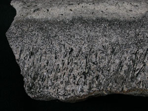 * 圖說：角閃(石)安山岩Hornblende andesite* 智財權：國立自然科學博物館