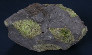 * 圖說：玄武岩含橄欖石包體* 智財權：國立自然科學博物館