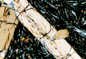 * 圖說：棉花嶼矽質玄武岩為橄欖石古銅輝石玄武岩。斑晶以橄欖石和古銅輝石(Bz)為主，斜長石顆粒相形之下，遠不及前二者，只能說是微斑晶。* 智財權：國立自然科學博物館