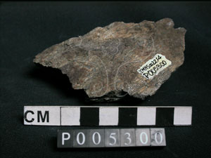 * 圖說：片岩標本照片* 智財權：國立自然科學博物館