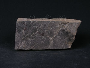 * 圖說：石墨片岩ˋ綠泥石片岩標本照片* 智財權：國立自然科學博物館