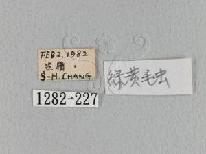 * 圖說：標籤* 標籤* 作者：W. F. Lin拍攝,林文甫拍攝* 智財權：國立自然科學博物館