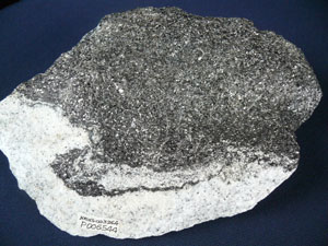 * 圖說：圖9.花崗岩含黑雲母聚晶團塊，產地：金門田浦，標本編號：NMNS003264-P006544。* 作者：莊文星