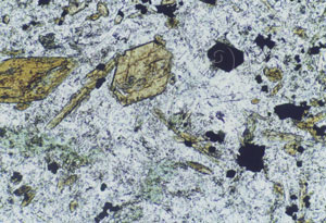 * 圖說：圖4.煌斑岩岩石薄片顯微鏡照相。斑晶礦物主要為角閃石（棕色）、磁鐵礦（黑色），部分鎂鐵質礦物已換質成綠泥石（綠色）。* 作者：莊文星
