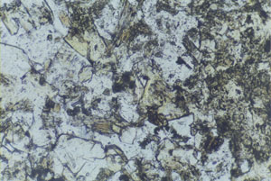 * 圖說：圖7.綠簾石岩偏光顯微鏡照片，主要由綠簾石與斜長石組成。* 作者：莊文星