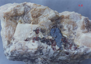 * 圖說：圖2.偉晶岩主要由石英、長石、斜長石、黑雲母組成，有時亦含血紅色之石榴子石。* 作者：莊文星* 智財權：莊文星