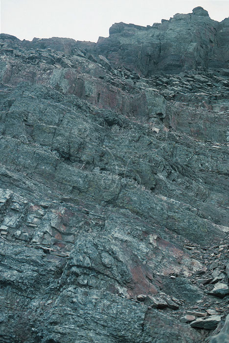 * 圖說：圖7. 玉山主峰層由變質砂岩偶夾板岩、硬頁岩組成。* 作者：莊文星
