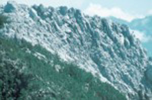 * 圖說：圖12. 南湖東南峰由結晶石灰岩組成 * 作者：莊文星